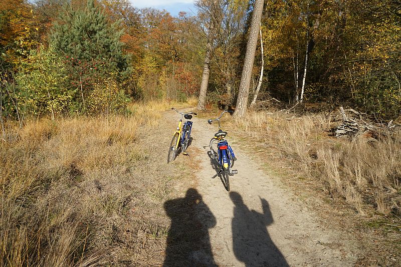 Oisterwijk 4.jpg - Oisterwijk
